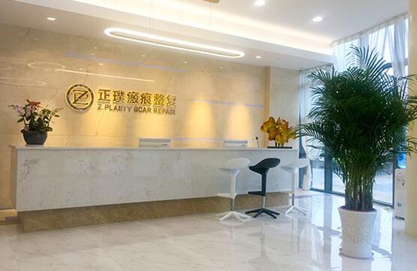 十、武汉正璞医疗美容