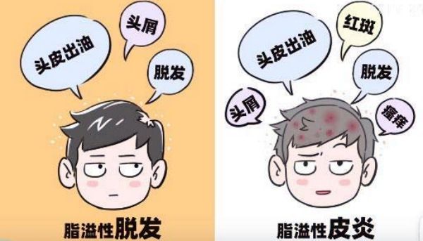 三、选择芜湖植发医院的避坑指南与实用建议