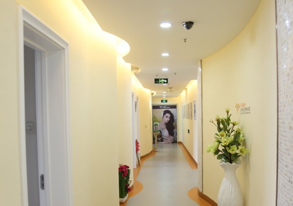 三、沈阳杏林房红超与杜继凤谁更好？技术对比与选择建议