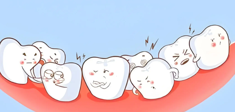 二、热门项目解析:从原理到选择要点