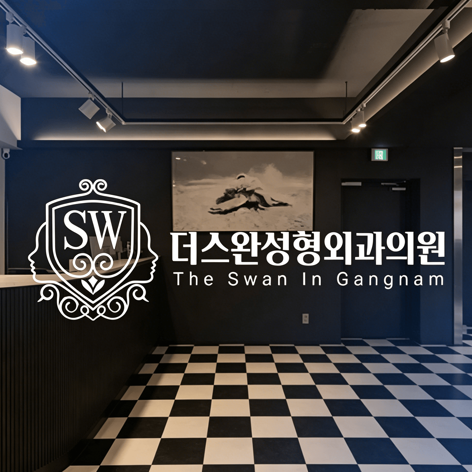 The Swan整形外科