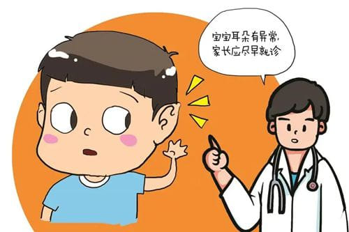 耳整形项目图.jpg